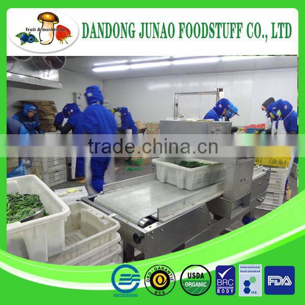 fresh frozen IQF Grade A Bulk Packaging spinach