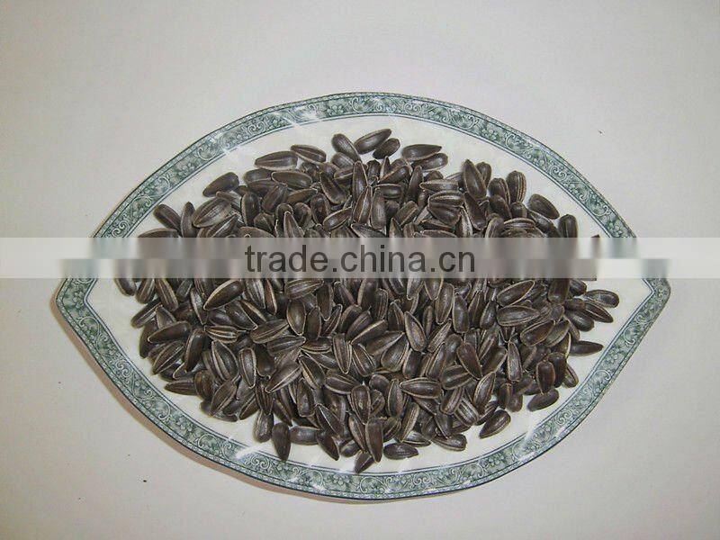 2015 New Crop Oil sunflower seeds