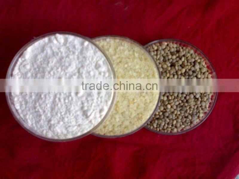 Guar Gum Powder FCC exporters.