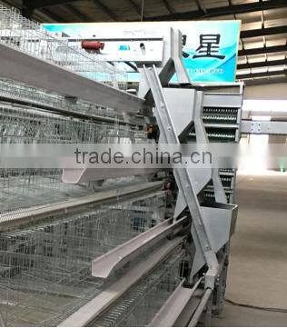 20000 Layer Farm Equipment large scale automatic project