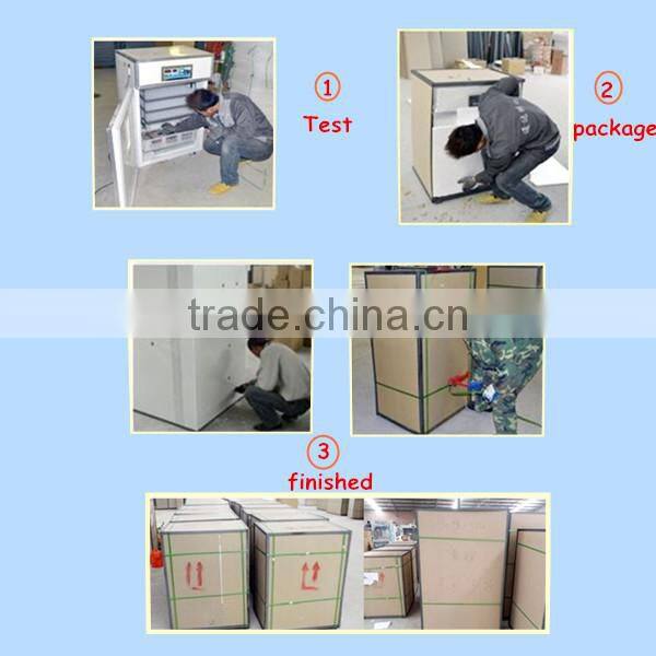 Factory Supply full automatic small 200 chicken egg incubator