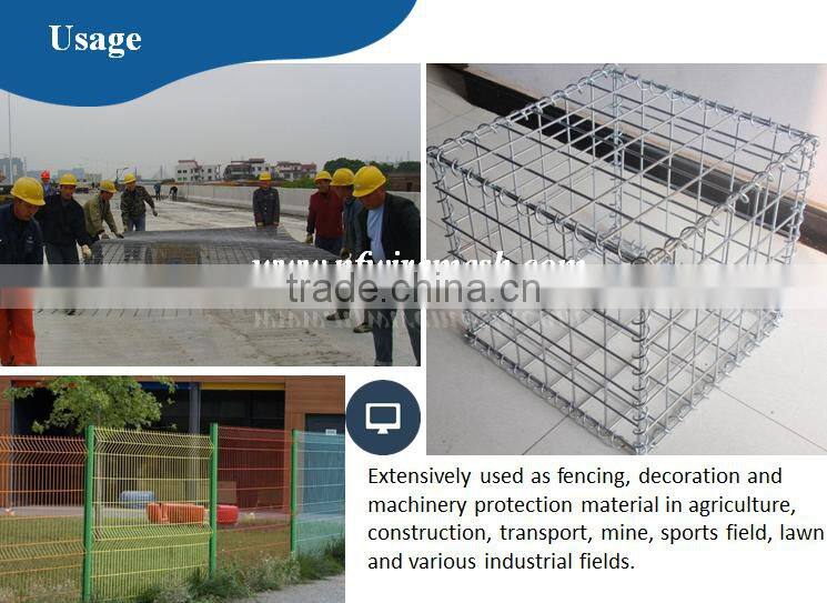 1.3mm Galvanized 3/8" /3/4" /1/2" /1" hole Welded Wire Mesh Net(Guangzhou factory)