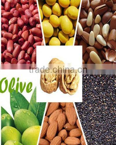 Newly designed Peanut oil extraction, Walnut oil press machine