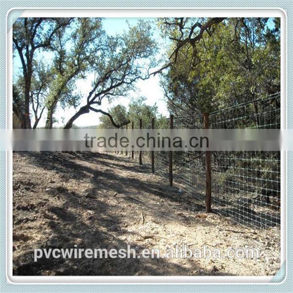 Low carbon steel wire horse wire mesh fence made in china