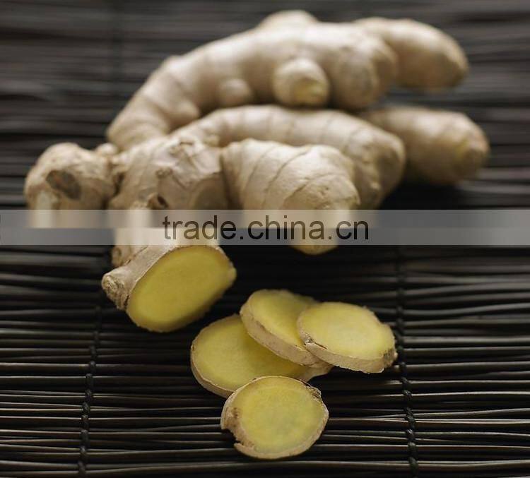 Ginger Multiple layer continuous type mesh belt dryer