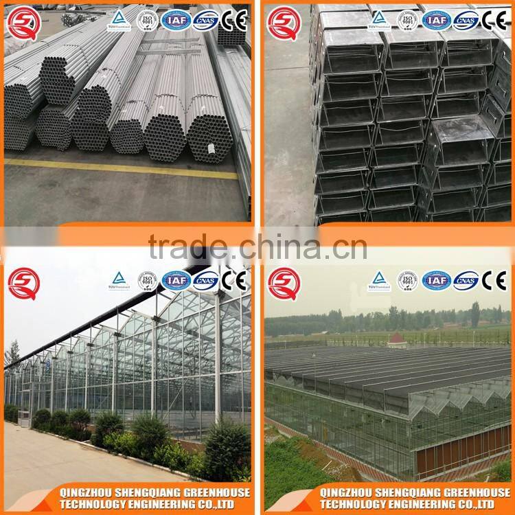 Glass greenhouse steel frame planting grows and teaching