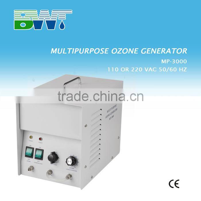 3 g/h keep fresh air water generator for fruit and vegetable washer