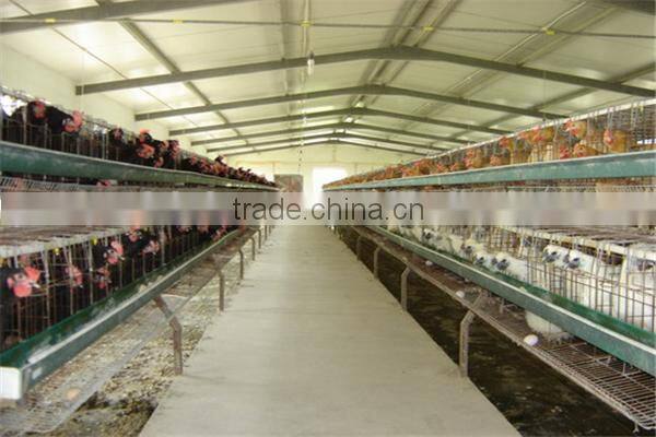 made in china layer egg chicken slaughter house
