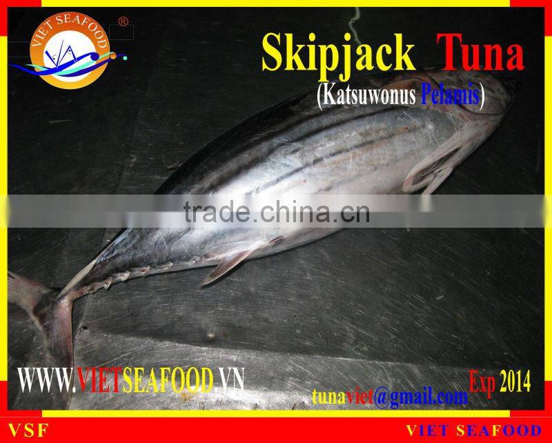 FROZEN W/R SKIPJACK TUNA