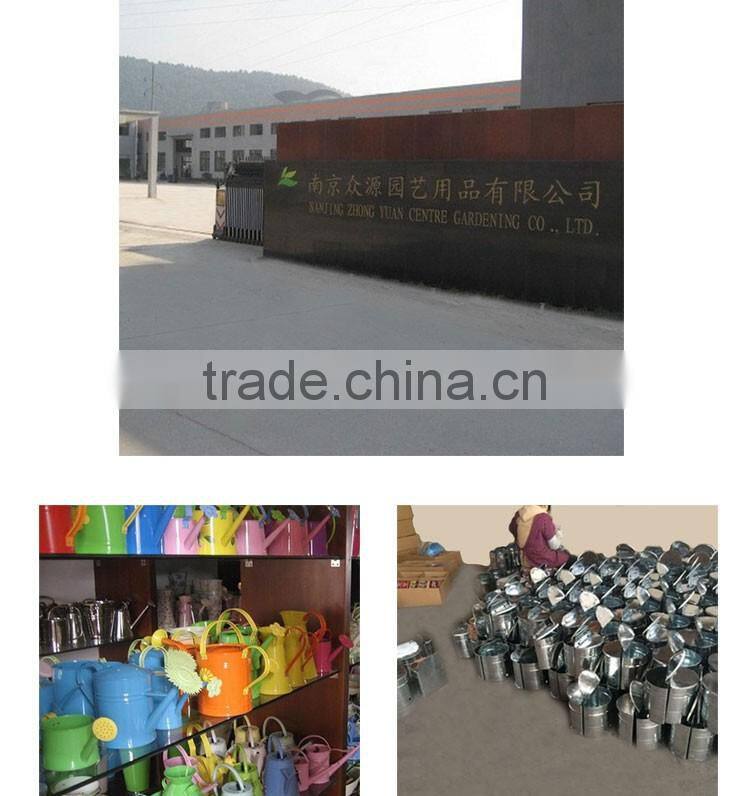 Small Kids Garden Colored Metal Pot