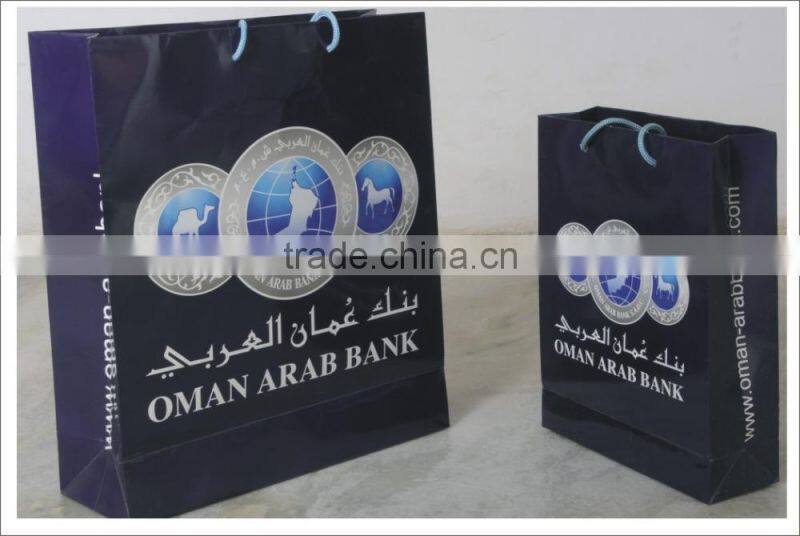 Brand Promotion Shopping Bags / Luxury Paper Bags