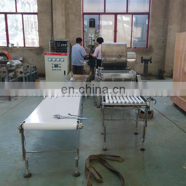 automatic spring roll making machine / spring roll skin making machine