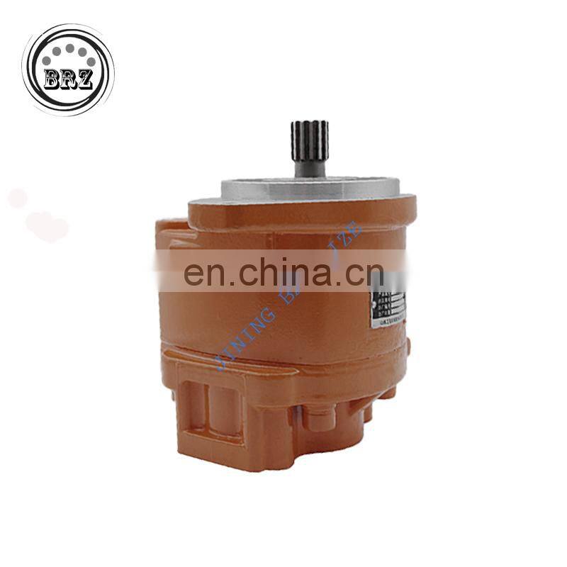 JS145W JS145 gear pump JS175 Pilot pump JS175W plunger pump