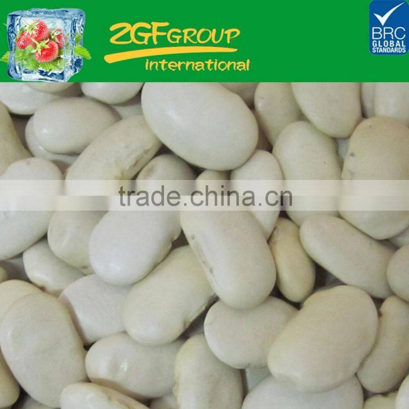 Hot Sale fresh and healthy kidney beans ( small pure kidney bean)