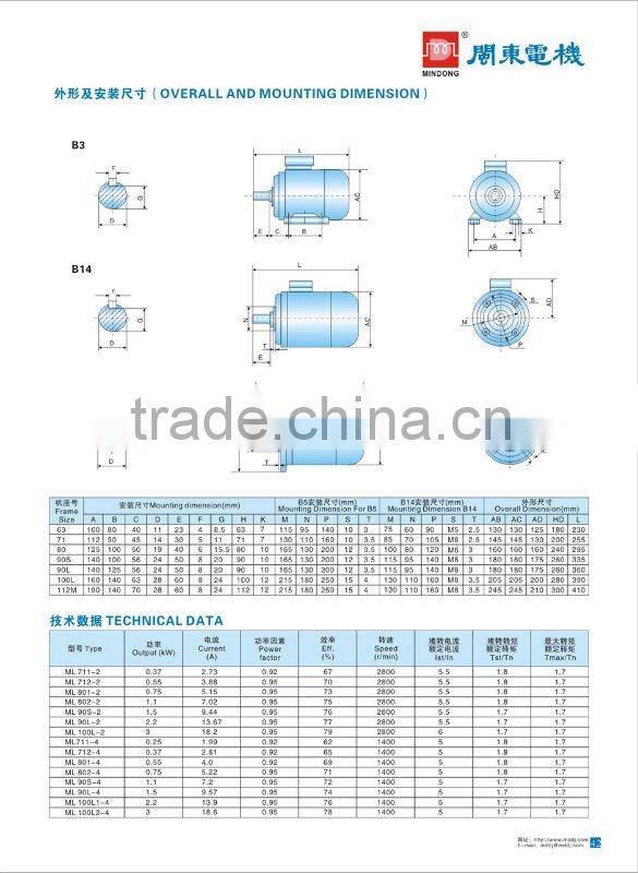 MINDONG ML induction motor
