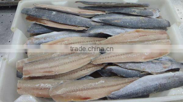 Frozen spanish mackerel fillets