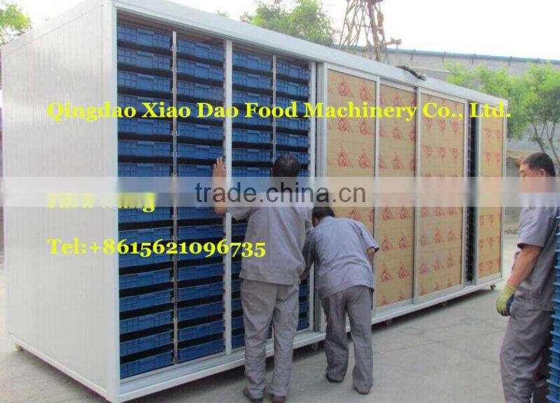 commercial hydroponics machine/Bud seedling machine/animal fodder machine/+8615621096735