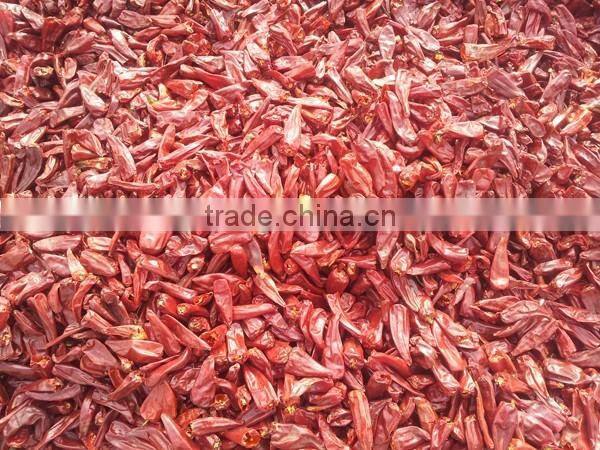 indian dry red chilli