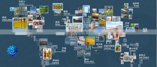 Can Filling Canning Line / juice canning machine