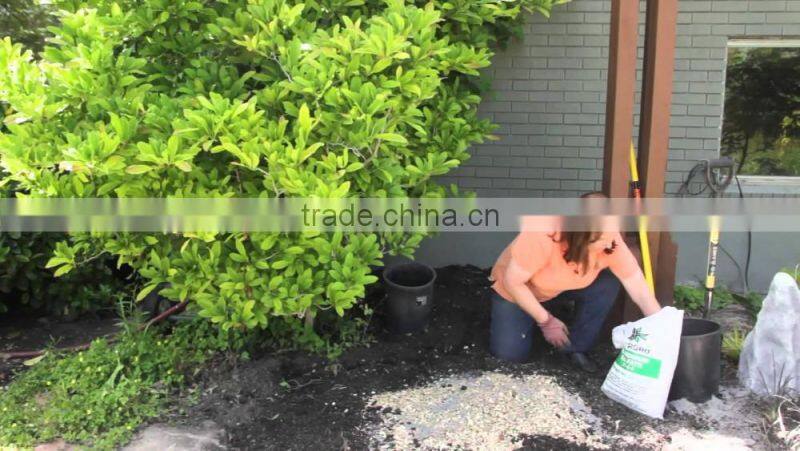 SD500 Wood sawdust machine