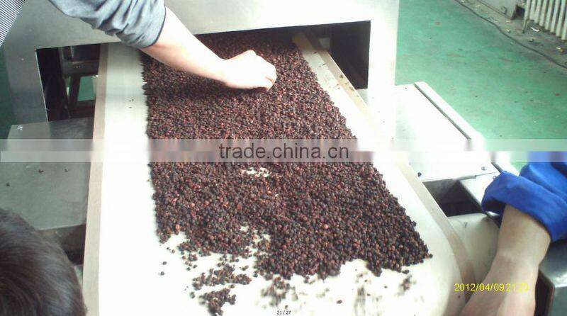 tunnel type industrial micrwave red chili drying sterilizing machine/sterlizer