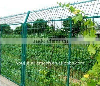 PVC Coated Welded Wire Mesh(manufacturer)