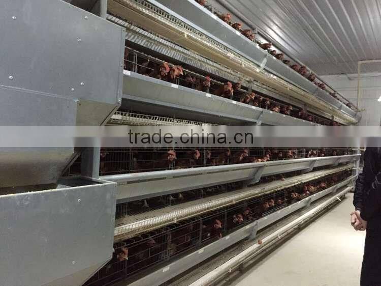 H type hen chicken cage