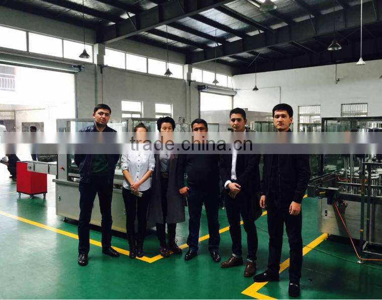 Automatic stainless steel Filling Capping Machine