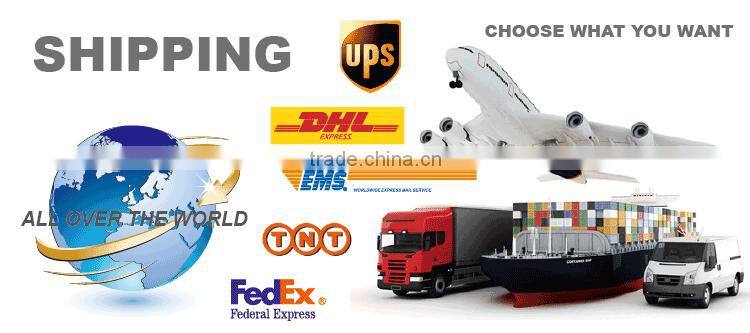 Professional 4 Sets of the Changeable Plates hair crimper and straightener