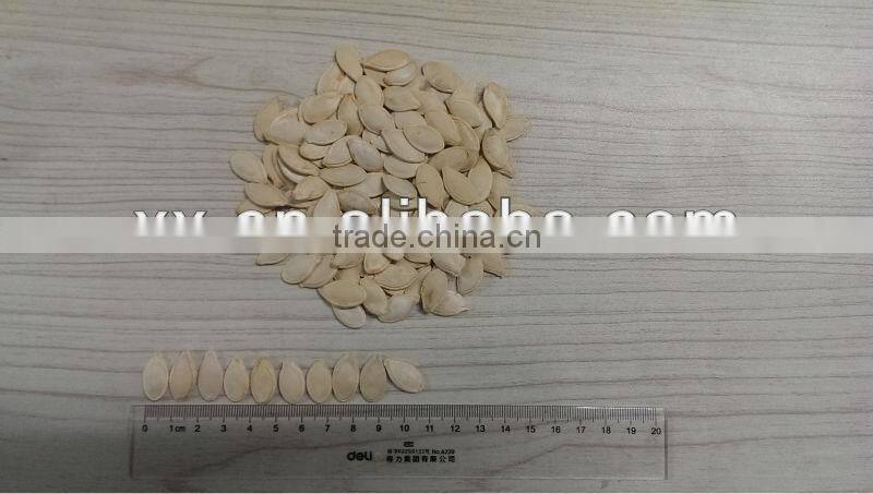 2014 hot sale best quality chinese sunshine pumpkin seeds price