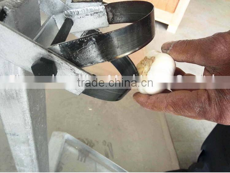 Garlic root cutting machine / garlic root cutter / garlic cutting machine