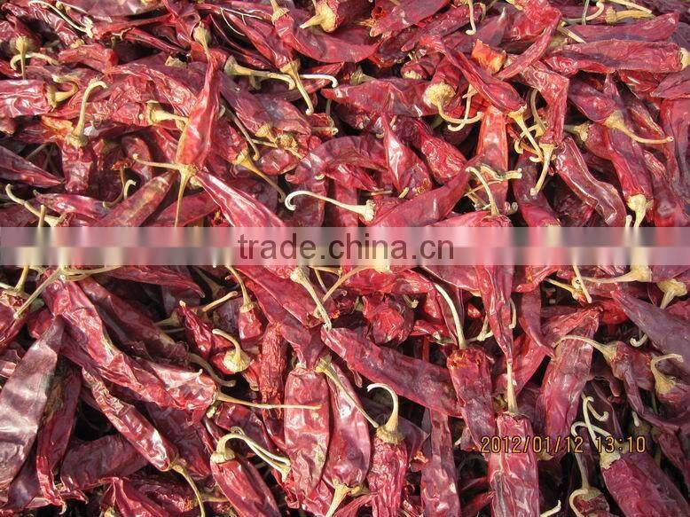 red dried chilli