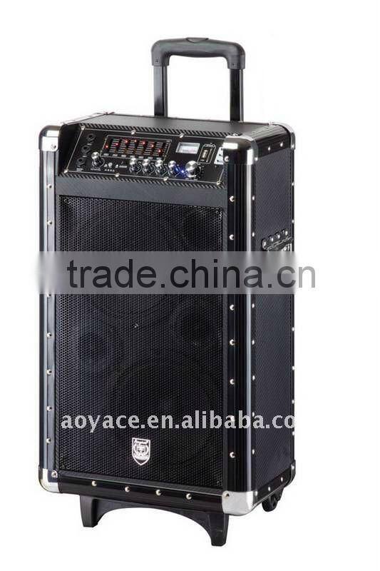 10" portable speaker