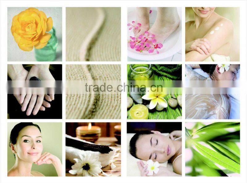 SPA Use Lemon & Tea Tree Hand Wash Liquid Soap 3.78L