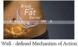 2012 Fat Kavitation Slimming Equipment-CE