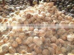 Coconut Desiccated Coconut