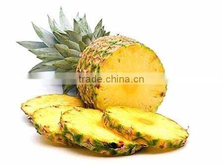 Pineapple canned in tin all sizes