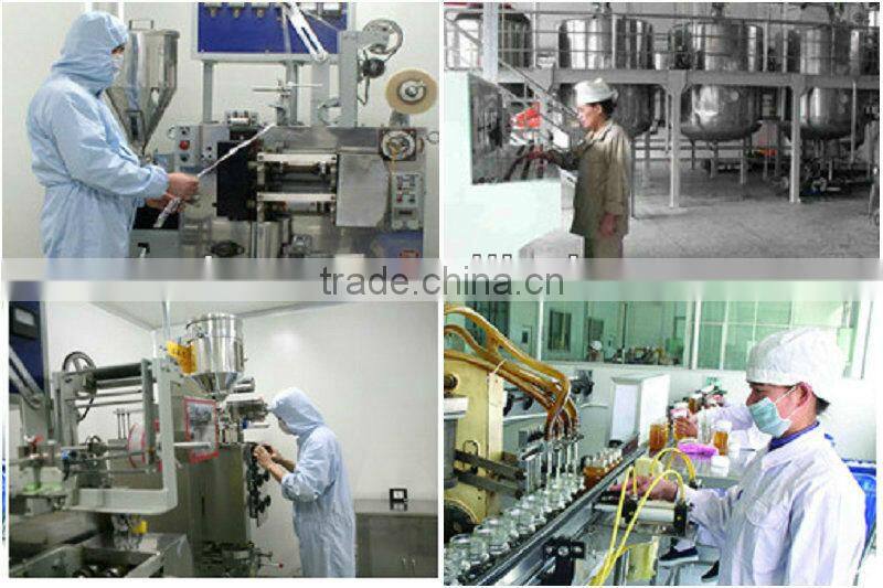 FDA standard high quality bear bottle honey blend syrup