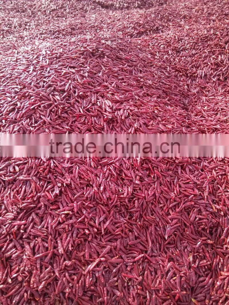 Manufacturer Company Exported High Quality Chaotian Chilli Seed Hybrid Chilli Seeds Hot Pepper Seeds Chili Seeds Dry Seeds