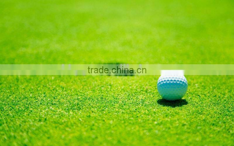 Tea Seed Meal/Cake/Powder for Aquaculture, Organic Fertilizer, Eco-pesticides, etc.