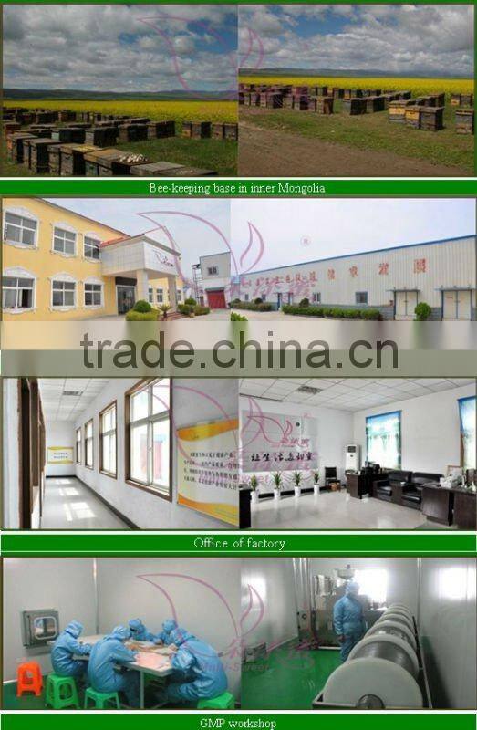 Bee equipment honey extractor with motor