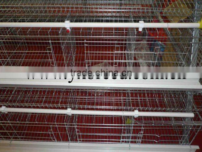 chicken cage,automatic poultry equipment,chicken layer cage