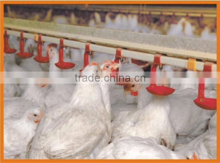 chicken cage with automatic water system