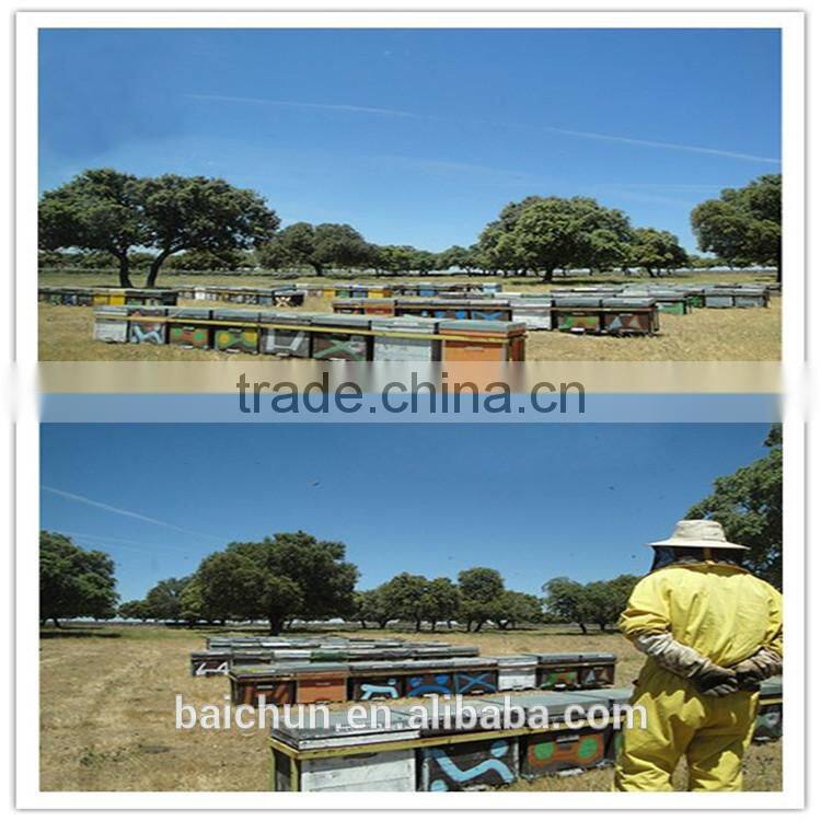 bulk organic crude bee wax