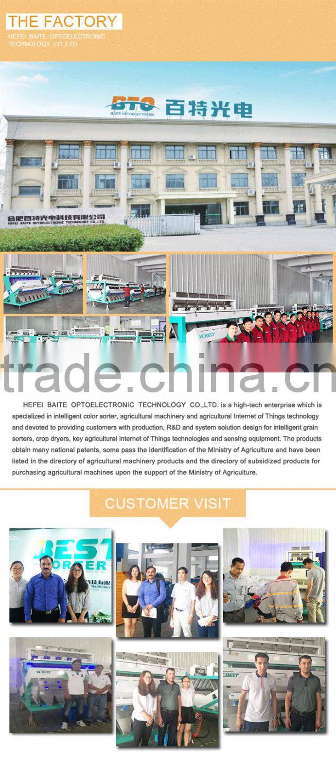 High Quality Ormosia Color Sorter/color sorting for coffee