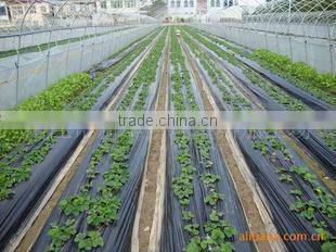 PE plastic film for mulch/greenhouse/construction