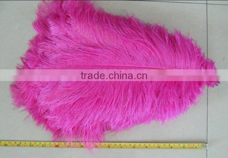 Carnival decorative large white ostrich feathers