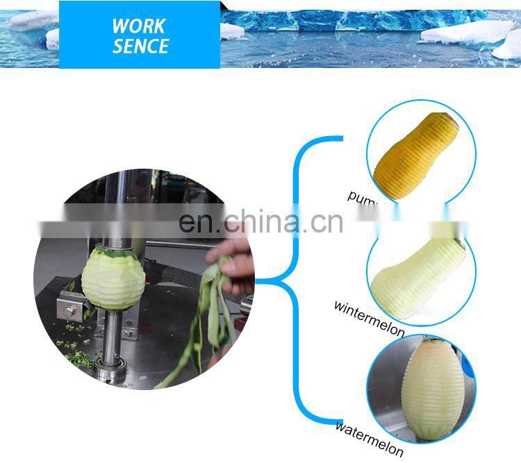 Grapefruit peeling machine /pumpkin peeler/gourd paring machine