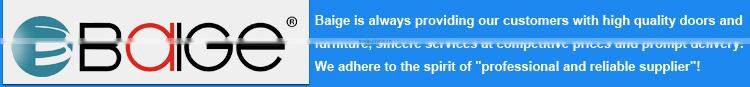 BG-AF9005 carved double doors/double entry doors modern/double shed steel doors