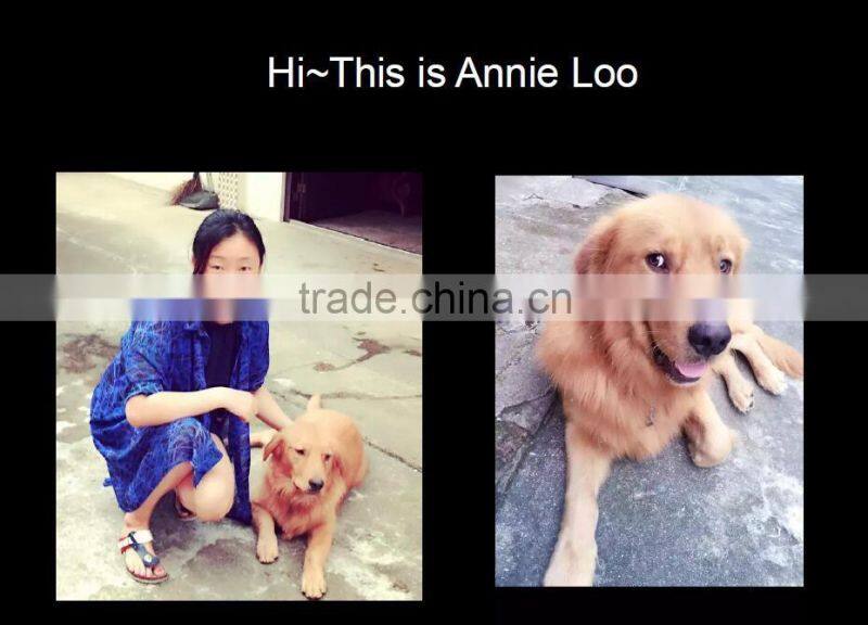 STABILE High quaility fluffy ball keychain pom pom with key chain